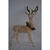 Celebrations Standing Buck LED Yard Art White 1 each Birch