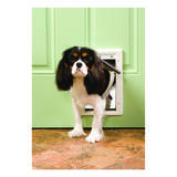 Petsafe Pet Door Small For Pets up to 15 lb. 5-1/8 in. x 7-5/8 in. White Plastic