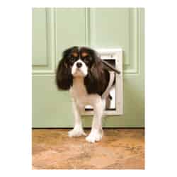 Petsafe Pet Door Small For Pets up to 15 lb. 5-1/8 in. x 7-5/8 in. White Plastic