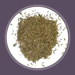 Pennington Seed