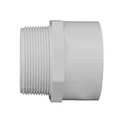 Charlotte Pipe Schedule 40 1/2 in. Slip T X 1/2 in. D MPT PVC Pipe Adapter
