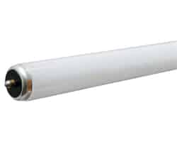 GE Lighting 55 watts T12 72 in. Cool White Fluorescent Bulb 4500 lumens 1 pk Linear