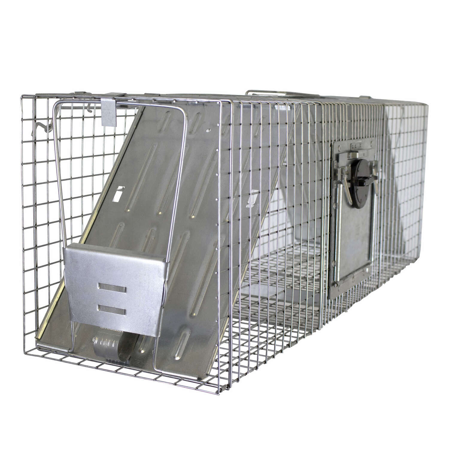 image-2