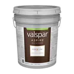 Valspar Aspire Satin Basic White Paint and Primer Exterior 5 gal