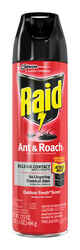 Raid
