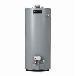 Reliance Propane Water Heater 51-1/2 in. H x 22 in. L x 22 in. W 40 gal.