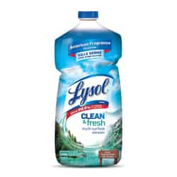 Lysol Clean and Fresh Cool Adirondack Air Scent Antibacterial Disinfectant 40 oz 1 pk