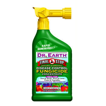 Dr. Earth