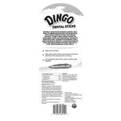 Dingo