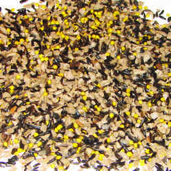 Wild Delight Golden Finch Finch Wild Bird Food Sunflower Kernels 5 lb.