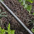 Raindrip Vinyl Drip Irrigation Tubing 1/4 in. x 50 ft. L