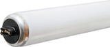 GE Lighting 85 watts T12 72 in. Cool White Fluorescent Bulb 6350 lumens 15 pk Linear