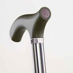 Brazos Walking Sticks