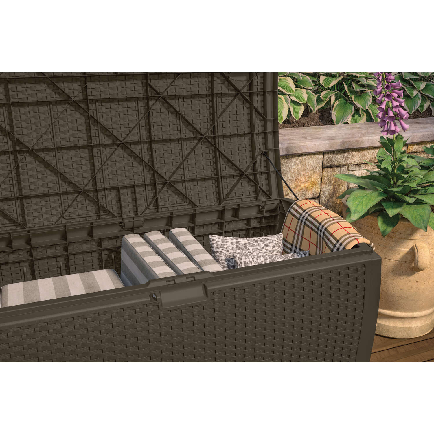 image-5