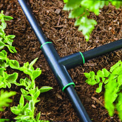 Raindrip Plastic Drip Irrigation Compression Tee 1 pk