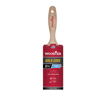 Wooster Gold Edge 2-1/2 in. W Straight Paint Brush