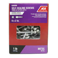 Ace 9 Sizes x 2 in. L Hex Ceramic Steel Self-Sealing Screws 1 lb. Hex Washer