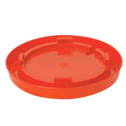 Little Giant 128 oz. Water Base 1-3/4 in. H For Poultry