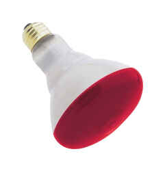 Westinghouse 75 watts BR30 Incandescent Bulb Red Floodlight 1 pk