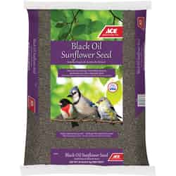 Ace Assorted Species Black Oil Sunflower Wild Bird Food Black Oil Sunflower Seed 20 lb.