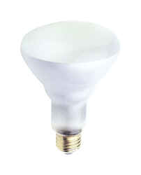 Westinghouse 65 watts BR30 Incandescent Bulb 650 lumens Floodlight White 12 pk