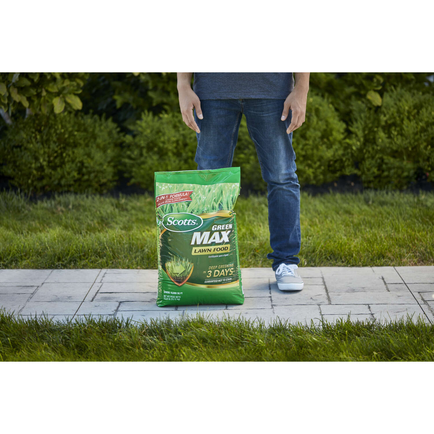 image-7