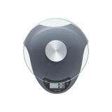 Taylor Digital Food Scale 6.6 Weight Capacity Silver