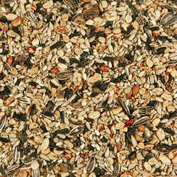Kaytee Nuthatch Wild Bird Food Fruits and Nuts 5 lb.