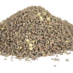 Cedar Oil