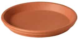 Deroma 1 in. H x 6 in. W x 5 in. L Terracotta Clay Traditional Plant Saucer