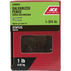 Ace 1-3/4 in. L Steel Fence Staples Galvanized 1 lb.