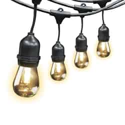 FEIT Electric LED LED Lantern LED Light String 20 ft. 10 lights Clear Clear