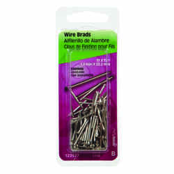 Brand Test 17 Ga. x 7/8 in. L Stainless Steel Brad Nails 2 oz.