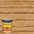 Minwax Wood Finish Semi-Transparent Golden Oak Oil-Based Stain 1 gal