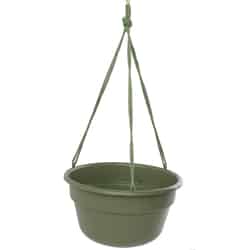 Bloem 6.8 in. H x 12.4 in. Dia. Living Green Resin Dura Cotta Hanging Basket