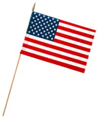 Valley Forge American Flag 18 in. W x 12 in. H
