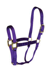 Hamilton Nylon Large Halter