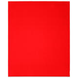 Diablo 9 in. L X 11 in. W 80 Grit Aluminum Oxide Sanding Sheet 4 pk