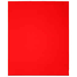 Diablo 9 in. L X 11 in. W 80 Grit Aluminum Oxide Sanding Sheet 4 pk