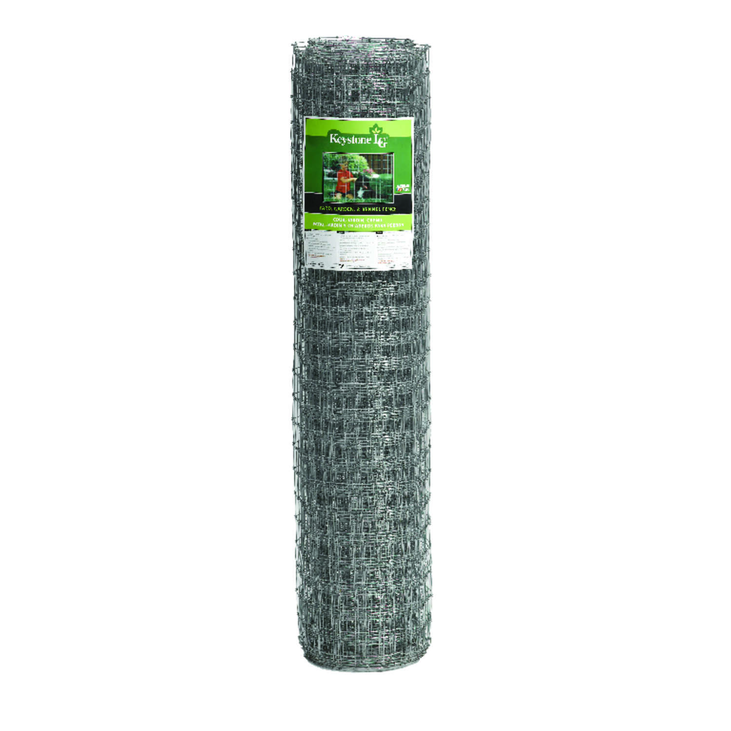 image-1