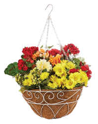 Panacea White Steel Hanging Basket