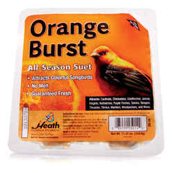 Heath Orange Burst Songbird Suet Beef Suet 11.25 oz.