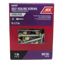 Ace 9 Sizes x 2 in. L Hex Hex Washer Head Ceramic Steel Self-Sealing Screws 1 lb.