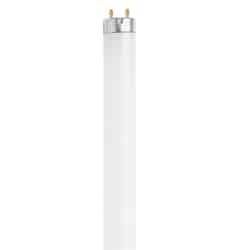 FEIT Electric 15 watts T8 18 in. Cool White Fluorescent Bulb 770 lumens 1 pk Tubular