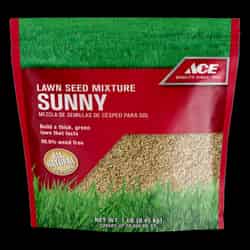 Ace Sunny Mix Full Sun Lawn Seed Mixture 1 lb