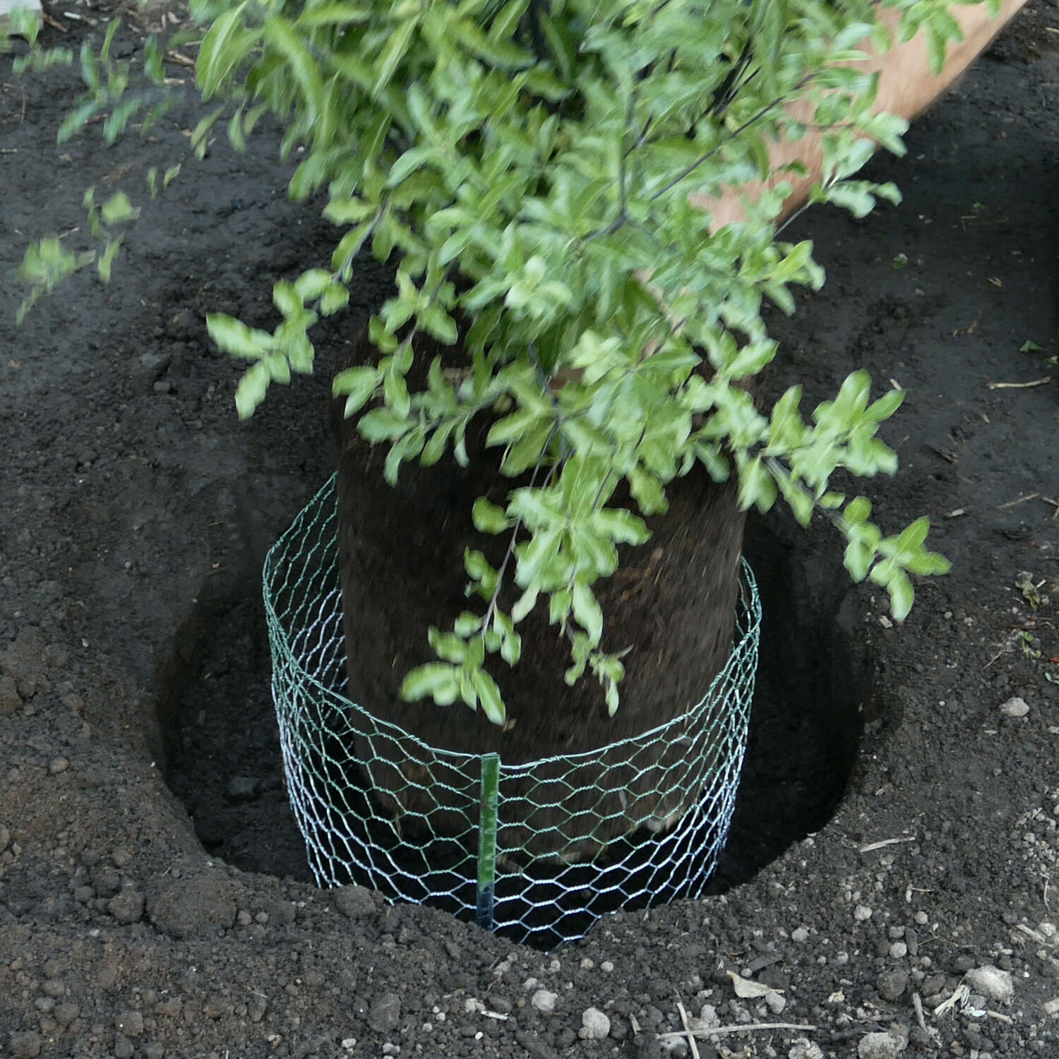 image-5