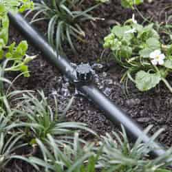 Raindrip Drip Irrigation Bubbler