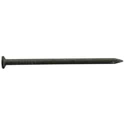 Pro-Fit 16D 3-1/2 in. L Common Nail Smooth Shank 25 lb.