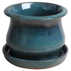 Trendspot 6 in. H x 6 in. W Aqua Blue Ceramic Ceramic Pot