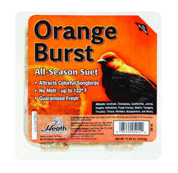 Heath Orange Burst Songbird Suet Beef Suet 11.25 oz.